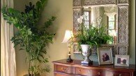 Plantas de interior